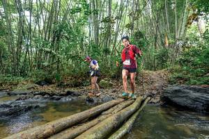 BIB: 
                            <button type="button" onclick="openModal(26500781)" class="btn btn-primary btn-sm float-right btn-popup" data-toggle="modal" data-target=".modal-high-quality">
                        <i class="fas fa-shopping-cart"></i> Add to Cart
                    </button>
                                            <button type="button" onclick="isThisMe(26500781, true)" class="btn btn-success btn-sm float-right btn-popup btn-isme hidden" data-toggle="tooltip" data-placement="bottom" title="นี่คือรูปของคุณใช่ไหม คลิกที่นี่เพื่อเอาเข้าอัลบั้ม">
                        <i class="fas fa-plus"></i> Add to album
                    </button>
                    <button type="button" onclick="isThisMe(26500781, false)" class="btn btn-warning btn-sm float-right btn-popup btn-isnotme hidden">
                        <i class="fas fa-ban"></i> Remove from album
                    </button>