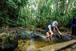 BIB: 
                            <button type="button" onclick="openModal(26505400)" class="btn btn-primary btn-sm float-right btn-popup" data-toggle="modal" data-target=".modal-high-quality">
                        <i class="fas fa-shopping-cart"></i> Add to Cart
                    </button>
                                            <button type="button" onclick="isThisMe(26505400, true)" class="btn btn-success btn-sm float-right btn-popup btn-isme hidden" data-toggle="tooltip" data-placement="bottom" title="นี่คือรูปของคุณใช่ไหม คลิกที่นี่เพื่อเอาเข้าอัลบั้ม">
                        <i class="fas fa-plus"></i> Add to album
                    </button>
                    <button type="button" onclick="isThisMe(26505400, false)" class="btn btn-warning btn-sm float-right btn-popup btn-isnotme hidden">
                        <i class="fas fa-ban"></i> Remove from album
                    </button>