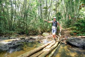 BIB: 
                            <button type="button" onclick="openModal(26500020)" class="btn btn-primary btn-sm float-right btn-popup" data-toggle="modal" data-target=".modal-high-quality">
                        <i class="fas fa-shopping-cart"></i> Add to Cart
                    </button>
                                            <button type="button" onclick="isThisMe(26500020, true)" class="btn btn-success btn-sm float-right btn-popup btn-isme hidden" data-toggle="tooltip" data-placement="bottom" title="นี่คือรูปของคุณใช่ไหม คลิกที่นี่เพื่อเอาเข้าอัลบั้ม">
                        <i class="fas fa-plus"></i> Add to album
                    </button>
                    <button type="button" onclick="isThisMe(26500020, false)" class="btn btn-warning btn-sm float-right btn-popup btn-isnotme hidden">
                        <i class="fas fa-ban"></i> Remove from album
                    </button>