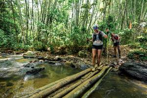 BIB: 
                            <button type="button" onclick="openModal(26448878)" class="btn btn-primary btn-sm float-right btn-popup" data-toggle="modal" data-target=".modal-high-quality">
                        <i class="fas fa-shopping-cart"></i> Add to Cart
                    </button>
                                            <button type="button" onclick="isThisMe(26448878, true)" class="btn btn-success btn-sm float-right btn-popup btn-isme hidden" data-toggle="tooltip" data-placement="bottom" title="นี่คือรูปของคุณใช่ไหม คลิกที่นี่เพื่อเอาเข้าอัลบั้ม">
                        <i class="fas fa-plus"></i> Add to album
                    </button>
                    <button type="button" onclick="isThisMe(26448878, false)" class="btn btn-warning btn-sm float-right btn-popup btn-isnotme hidden">
                        <i class="fas fa-ban"></i> Remove from album
                    </button>