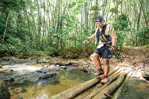 BIB: 
                            <button type="button" onclick="openModal(26449525)" class="btn btn-primary btn-sm float-right btn-popup" data-toggle="modal" data-target=".modal-high-quality">
                        <i class="fas fa-shopping-cart"></i> Add to Cart
                    </button>
                                            <button type="button" onclick="isThisMe(26449525, true)" class="btn btn-success btn-sm float-right btn-popup btn-isme hidden" data-toggle="tooltip" data-placement="bottom" title="นี่คือรูปของคุณใช่ไหม คลิกที่นี่เพื่อเอาเข้าอัลบั้ม">
                        <i class="fas fa-plus"></i> Add to album
                    </button>
                    <button type="button" onclick="isThisMe(26449525, false)" class="btn btn-warning btn-sm float-right btn-popup btn-isnotme hidden">
                        <i class="fas fa-ban"></i> Remove from album
                    </button>