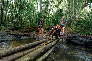 BIB: 
                            <button type="button" onclick="openModal(26445331)" class="btn btn-primary btn-sm float-right btn-popup" data-toggle="modal" data-target=".modal-high-quality">
                        <i class="fas fa-shopping-cart"></i> Add to Cart
                    </button>
                                            <button type="button" onclick="isThisMe(26445331, true)" class="btn btn-success btn-sm float-right btn-popup btn-isme hidden" data-toggle="tooltip" data-placement="bottom" title="นี่คือรูปของคุณใช่ไหม คลิกที่นี่เพื่อเอาเข้าอัลบั้ม">
                        <i class="fas fa-plus"></i> Add to album
                    </button>
                    <button type="button" onclick="isThisMe(26445331, false)" class="btn btn-warning btn-sm float-right btn-popup btn-isnotme hidden">
                        <i class="fas fa-ban"></i> Remove from album
                    </button>