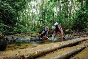 BIB: 
                            <button type="button" onclick="openModal(26505538)" class="btn btn-primary btn-sm float-right btn-popup" data-toggle="modal" data-target=".modal-high-quality">
                        <i class="fas fa-shopping-cart"></i> Add to Cart
                    </button>
                                            <button type="button" onclick="isThisMe(26505538, true)" class="btn btn-success btn-sm float-right btn-popup btn-isme hidden" data-toggle="tooltip" data-placement="bottom" title="นี่คือรูปของคุณใช่ไหม คลิกที่นี่เพื่อเอาเข้าอัลบั้ม">
                        <i class="fas fa-plus"></i> Add to album
                    </button>
                    <button type="button" onclick="isThisMe(26505538, false)" class="btn btn-warning btn-sm float-right btn-popup btn-isnotme hidden">
                        <i class="fas fa-ban"></i> Remove from album
                    </button>