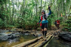 BIB: 
                            <button type="button" onclick="openModal(26459248)" class="btn btn-primary btn-sm float-right btn-popup" data-toggle="modal" data-target=".modal-high-quality">
                        <i class="fas fa-shopping-cart"></i> Add to Cart
                    </button>
                                            <button type="button" onclick="isThisMe(26459248, true)" class="btn btn-success btn-sm float-right btn-popup btn-isme hidden" data-toggle="tooltip" data-placement="bottom" title="นี่คือรูปของคุณใช่ไหม คลิกที่นี่เพื่อเอาเข้าอัลบั้ม">
                        <i class="fas fa-plus"></i> Add to album
                    </button>
                    <button type="button" onclick="isThisMe(26459248, false)" class="btn btn-warning btn-sm float-right btn-popup btn-isnotme hidden">
                        <i class="fas fa-ban"></i> Remove from album
                    </button>