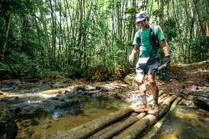 BIB: 
                            <button type="button" onclick="openModal(26451550)" class="btn btn-primary btn-sm float-right btn-popup" data-toggle="modal" data-target=".modal-high-quality">
                        <i class="fas fa-shopping-cart"></i> Add to Cart
                    </button>
                                            <button type="button" onclick="isThisMe(26451550, true)" class="btn btn-success btn-sm float-right btn-popup btn-isme hidden" data-toggle="tooltip" data-placement="bottom" title="นี่คือรูปของคุณใช่ไหม คลิกที่นี่เพื่อเอาเข้าอัลบั้ม">
                        <i class="fas fa-plus"></i> Add to album
                    </button>
                    <button type="button" onclick="isThisMe(26451550, false)" class="btn btn-warning btn-sm float-right btn-popup btn-isnotme hidden">
                        <i class="fas fa-ban"></i> Remove from album
                    </button>