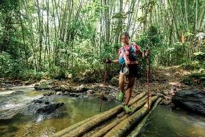 BIB: 
                            <button type="button" onclick="openModal(26451214)" class="btn btn-primary btn-sm float-right btn-popup" data-toggle="modal" data-target=".modal-high-quality">
                        <i class="fas fa-shopping-cart"></i> Add to Cart
                    </button>
                                            <button type="button" onclick="isThisMe(26451214, true)" class="btn btn-success btn-sm float-right btn-popup btn-isme hidden" data-toggle="tooltip" data-placement="bottom" title="นี่คือรูปของคุณใช่ไหม คลิกที่นี่เพื่อเอาเข้าอัลบั้ม">
                        <i class="fas fa-plus"></i> Add to album
                    </button>
                    <button type="button" onclick="isThisMe(26451214, false)" class="btn btn-warning btn-sm float-right btn-popup btn-isnotme hidden">
                        <i class="fas fa-ban"></i> Remove from album
                    </button>