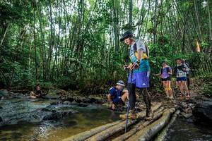 BIB: 
                            <button type="button" onclick="openModal(26490221)" class="btn btn-primary btn-sm float-right btn-popup" data-toggle="modal" data-target=".modal-high-quality">
                        <i class="fas fa-shopping-cart"></i> Add to Cart
                    </button>
                                            <button type="button" onclick="isThisMe(26490221, true)" class="btn btn-success btn-sm float-right btn-popup btn-isme hidden" data-toggle="tooltip" data-placement="bottom" title="นี่คือรูปของคุณใช่ไหม คลิกที่นี่เพื่อเอาเข้าอัลบั้ม">
                        <i class="fas fa-plus"></i> Add to album
                    </button>
                    <button type="button" onclick="isThisMe(26490221, false)" class="btn btn-warning btn-sm float-right btn-popup btn-isnotme hidden">
                        <i class="fas fa-ban"></i> Remove from album
                    </button>