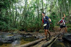 BIB: 
                            <button type="button" onclick="openModal(26455979)" class="btn btn-primary btn-sm float-right btn-popup" data-toggle="modal" data-target=".modal-high-quality">
                        <i class="fas fa-shopping-cart"></i> Add to Cart
                    </button>
                                            <button type="button" onclick="isThisMe(26455979, true)" class="btn btn-success btn-sm float-right btn-popup btn-isme hidden" data-toggle="tooltip" data-placement="bottom" title="นี่คือรูปของคุณใช่ไหม คลิกที่นี่เพื่อเอาเข้าอัลบั้ม">
                        <i class="fas fa-plus"></i> Add to album
                    </button>
                    <button type="button" onclick="isThisMe(26455979, false)" class="btn btn-warning btn-sm float-right btn-popup btn-isnotme hidden">
                        <i class="fas fa-ban"></i> Remove from album
                    </button>