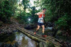 BIB: 
                            <button type="button" onclick="openModal(26433017)" class="btn btn-primary btn-sm float-right btn-popup" data-toggle="modal" data-target=".modal-high-quality">
                        <i class="fas fa-shopping-cart"></i> Add to Cart
                    </button>
                                            <button type="button" onclick="isThisMe(26433017, true)" class="btn btn-success btn-sm float-right btn-popup btn-isme hidden" data-toggle="tooltip" data-placement="bottom" title="นี่คือรูปของคุณใช่ไหม คลิกที่นี่เพื่อเอาเข้าอัลบั้ม">
                        <i class="fas fa-plus"></i> Add to album
                    </button>
                    <button type="button" onclick="isThisMe(26433017, false)" class="btn btn-warning btn-sm float-right btn-popup btn-isnotme hidden">
                        <i class="fas fa-ban"></i> Remove from album
                    </button>