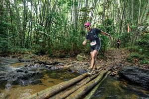 BIB: 
                            <button type="button" onclick="openModal(26442878)" class="btn btn-primary btn-sm float-right btn-popup" data-toggle="modal" data-target=".modal-high-quality">
                        <i class="fas fa-shopping-cart"></i> Add to Cart
                    </button>
                                            <button type="button" onclick="isThisMe(26442878, true)" class="btn btn-success btn-sm float-right btn-popup btn-isme hidden" data-toggle="tooltip" data-placement="bottom" title="นี่คือรูปของคุณใช่ไหม คลิกที่นี่เพื่อเอาเข้าอัลบั้ม">
                        <i class="fas fa-plus"></i> Add to album
                    </button>
                    <button type="button" onclick="isThisMe(26442878, false)" class="btn btn-warning btn-sm float-right btn-popup btn-isnotme hidden">
                        <i class="fas fa-ban"></i> Remove from album
                    </button>