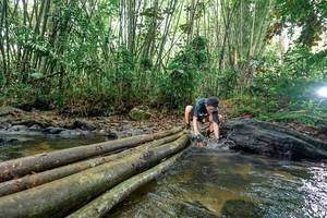 BIB: 
                            <button type="button" onclick="openModal(26440544)" class="btn btn-primary btn-sm float-right btn-popup" data-toggle="modal" data-target=".modal-high-quality">
                        <i class="fas fa-shopping-cart"></i> Add to Cart
                    </button>
                                            <button type="button" onclick="isThisMe(26440544, true)" class="btn btn-success btn-sm float-right btn-popup btn-isme hidden" data-toggle="tooltip" data-placement="bottom" title="นี่คือรูปของคุณใช่ไหม คลิกที่นี่เพื่อเอาเข้าอัลบั้ม">
                        <i class="fas fa-plus"></i> Add to album
                    </button>
                    <button type="button" onclick="isThisMe(26440544, false)" class="btn btn-warning btn-sm float-right btn-popup btn-isnotme hidden">
                        <i class="fas fa-ban"></i> Remove from album
                    </button>