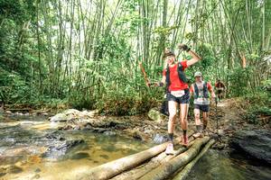 BIB: 
                            <button type="button" onclick="openModal(26502899)" class="btn btn-primary btn-sm float-right btn-popup" data-toggle="modal" data-target=".modal-high-quality">
                        <i class="fas fa-shopping-cart"></i> Add to Cart
                    </button>
                                            <button type="button" onclick="isThisMe(26502899, true)" class="btn btn-success btn-sm float-right btn-popup btn-isme hidden" data-toggle="tooltip" data-placement="bottom" title="นี่คือรูปของคุณใช่ไหม คลิกที่นี่เพื่อเอาเข้าอัลบั้ม">
                        <i class="fas fa-plus"></i> Add to album
                    </button>
                    <button type="button" onclick="isThisMe(26502899, false)" class="btn btn-warning btn-sm float-right btn-popup btn-isnotme hidden">
                        <i class="fas fa-ban"></i> Remove from album
                    </button>