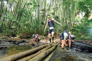 BIB: 
                            <button type="button" onclick="openModal(26465995)" class="btn btn-primary btn-sm float-right btn-popup" data-toggle="modal" data-target=".modal-high-quality">
                        <i class="fas fa-shopping-cart"></i> Add to Cart
                    </button>
                                            <button type="button" onclick="isThisMe(26465995, true)" class="btn btn-success btn-sm float-right btn-popup btn-isme hidden" data-toggle="tooltip" data-placement="bottom" title="นี่คือรูปของคุณใช่ไหม คลิกที่นี่เพื่อเอาเข้าอัลบั้ม">
                        <i class="fas fa-plus"></i> Add to album
                    </button>
                    <button type="button" onclick="isThisMe(26465995, false)" class="btn btn-warning btn-sm float-right btn-popup btn-isnotme hidden">
                        <i class="fas fa-ban"></i> Remove from album
                    </button>