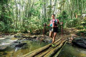 BIB: 
                            <button type="button" onclick="openModal(26451195)" class="btn btn-primary btn-sm float-right btn-popup" data-toggle="modal" data-target=".modal-high-quality">
                        <i class="fas fa-shopping-cart"></i> Add to Cart
                    </button>
                                            <button type="button" onclick="isThisMe(26451195, true)" class="btn btn-success btn-sm float-right btn-popup btn-isme hidden" data-toggle="tooltip" data-placement="bottom" title="นี่คือรูปของคุณใช่ไหม คลิกที่นี่เพื่อเอาเข้าอัลบั้ม">
                        <i class="fas fa-plus"></i> Add to album
                    </button>
                    <button type="button" onclick="isThisMe(26451195, false)" class="btn btn-warning btn-sm float-right btn-popup btn-isnotme hidden">
                        <i class="fas fa-ban"></i> Remove from album
                    </button>