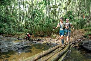 BIB: 
                            <button type="button" onclick="openModal(26438375)" class="btn btn-primary btn-sm float-right btn-popup" data-toggle="modal" data-target=".modal-high-quality">
                        <i class="fas fa-shopping-cart"></i> Add to Cart
                    </button>
                                            <button type="button" onclick="isThisMe(26438375, true)" class="btn btn-success btn-sm float-right btn-popup btn-isme hidden" data-toggle="tooltip" data-placement="bottom" title="นี่คือรูปของคุณใช่ไหม คลิกที่นี่เพื่อเอาเข้าอัลบั้ม">
                        <i class="fas fa-plus"></i> Add to album
                    </button>
                    <button type="button" onclick="isThisMe(26438375, false)" class="btn btn-warning btn-sm float-right btn-popup btn-isnotme hidden">
                        <i class="fas fa-ban"></i> Remove from album
                    </button>