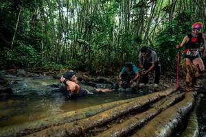 BIB: 
                            <button type="button" onclick="openModal(26486153)" class="btn btn-primary btn-sm float-right btn-popup" data-toggle="modal" data-target=".modal-high-quality">
                        <i class="fas fa-shopping-cart"></i> Add to Cart
                    </button>
                                            <button type="button" onclick="isThisMe(26486153, true)" class="btn btn-success btn-sm float-right btn-popup btn-isme hidden" data-toggle="tooltip" data-placement="bottom" title="นี่คือรูปของคุณใช่ไหม คลิกที่นี่เพื่อเอาเข้าอัลบั้ม">
                        <i class="fas fa-plus"></i> Add to album
                    </button>
                    <button type="button" onclick="isThisMe(26486153, false)" class="btn btn-warning btn-sm float-right btn-popup btn-isnotme hidden">
                        <i class="fas fa-ban"></i> Remove from album
                    </button>