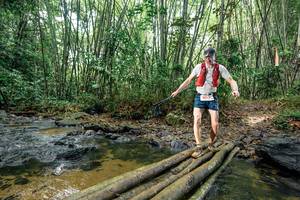 BIB: 
                            <button type="button" onclick="openModal(26442109)" class="btn btn-primary btn-sm float-right btn-popup" data-toggle="modal" data-target=".modal-high-quality">
                        <i class="fas fa-shopping-cart"></i> Add to Cart
                    </button>
                                            <button type="button" onclick="isThisMe(26442109, true)" class="btn btn-success btn-sm float-right btn-popup btn-isme hidden" data-toggle="tooltip" data-placement="bottom" title="นี่คือรูปของคุณใช่ไหม คลิกที่นี่เพื่อเอาเข้าอัลบั้ม">
                        <i class="fas fa-plus"></i> Add to album
                    </button>
                    <button type="button" onclick="isThisMe(26442109, false)" class="btn btn-warning btn-sm float-right btn-popup btn-isnotme hidden">
                        <i class="fas fa-ban"></i> Remove from album
                    </button>