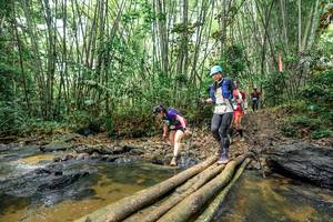 BIB: 
                            <button type="button" onclick="openModal(26451951)" class="btn btn-primary btn-sm float-right btn-popup" data-toggle="modal" data-target=".modal-high-quality">
                        <i class="fas fa-shopping-cart"></i> Add to Cart
                    </button>
                                            <button type="button" onclick="isThisMe(26451951, true)" class="btn btn-success btn-sm float-right btn-popup btn-isme hidden" data-toggle="tooltip" data-placement="bottom" title="นี่คือรูปของคุณใช่ไหม คลิกที่นี่เพื่อเอาเข้าอัลบั้ม">
                        <i class="fas fa-plus"></i> Add to album
                    </button>
                    <button type="button" onclick="isThisMe(26451951, false)" class="btn btn-warning btn-sm float-right btn-popup btn-isnotme hidden">
                        <i class="fas fa-ban"></i> Remove from album
                    </button>