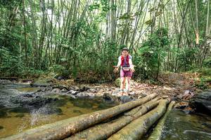 BIB: 
                            <button type="button" onclick="openModal(26439454)" class="btn btn-primary btn-sm float-right btn-popup" data-toggle="modal" data-target=".modal-high-quality">
                        <i class="fas fa-shopping-cart"></i> Add to Cart
                    </button>
                                            <button type="button" onclick="isThisMe(26439454, true)" class="btn btn-success btn-sm float-right btn-popup btn-isme hidden" data-toggle="tooltip" data-placement="bottom" title="นี่คือรูปของคุณใช่ไหม คลิกที่นี่เพื่อเอาเข้าอัลบั้ม">
                        <i class="fas fa-plus"></i> Add to album
                    </button>
                    <button type="button" onclick="isThisMe(26439454, false)" class="btn btn-warning btn-sm float-right btn-popup btn-isnotme hidden">
                        <i class="fas fa-ban"></i> Remove from album
                    </button>