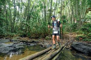 BIB: 
                            <button type="button" onclick="openModal(26439928)" class="btn btn-primary btn-sm float-right btn-popup" data-toggle="modal" data-target=".modal-high-quality">
                        <i class="fas fa-shopping-cart"></i> Add to Cart
                    </button>
                                            <button type="button" onclick="isThisMe(26439928, true)" class="btn btn-success btn-sm float-right btn-popup btn-isme hidden" data-toggle="tooltip" data-placement="bottom" title="นี่คือรูปของคุณใช่ไหม คลิกที่นี่เพื่อเอาเข้าอัลบั้ม">
                        <i class="fas fa-plus"></i> Add to album
                    </button>
                    <button type="button" onclick="isThisMe(26439928, false)" class="btn btn-warning btn-sm float-right btn-popup btn-isnotme hidden">
                        <i class="fas fa-ban"></i> Remove from album
                    </button>