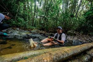 BIB: 
                            <button type="button" onclick="openModal(26455133)" class="btn btn-primary btn-sm float-right btn-popup" data-toggle="modal" data-target=".modal-high-quality">
                        <i class="fas fa-shopping-cart"></i> Add to Cart
                    </button>
                                            <button type="button" onclick="isThisMe(26455133, true)" class="btn btn-success btn-sm float-right btn-popup btn-isme hidden" data-toggle="tooltip" data-placement="bottom" title="นี่คือรูปของคุณใช่ไหม คลิกที่นี่เพื่อเอาเข้าอัลบั้ม">
                        <i class="fas fa-plus"></i> Add to album
                    </button>
                    <button type="button" onclick="isThisMe(26455133, false)" class="btn btn-warning btn-sm float-right btn-popup btn-isnotme hidden">
                        <i class="fas fa-ban"></i> Remove from album
                    </button>