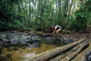 BIB: 
                            <button type="button" onclick="openModal(26434036)" class="btn btn-primary btn-sm float-right btn-popup" data-toggle="modal" data-target=".modal-high-quality">
                        <i class="fas fa-shopping-cart"></i> Add to Cart
                    </button>
                                            <button type="button" onclick="isThisMe(26434036, true)" class="btn btn-success btn-sm float-right btn-popup btn-isme hidden" data-toggle="tooltip" data-placement="bottom" title="นี่คือรูปของคุณใช่ไหม คลิกที่นี่เพื่อเอาเข้าอัลบั้ม">
                        <i class="fas fa-plus"></i> Add to album
                    </button>
                    <button type="button" onclick="isThisMe(26434036, false)" class="btn btn-warning btn-sm float-right btn-popup btn-isnotme hidden">
                        <i class="fas fa-ban"></i> Remove from album
                    </button>