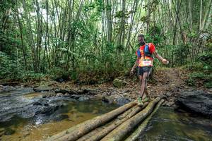 BIB: 
                            <button type="button" onclick="openModal(26500405)" class="btn btn-primary btn-sm float-right btn-popup" data-toggle="modal" data-target=".modal-high-quality">
                        <i class="fas fa-shopping-cart"></i> Add to Cart
                    </button>
                                            <button type="button" onclick="isThisMe(26500405, true)" class="btn btn-success btn-sm float-right btn-popup btn-isme hidden" data-toggle="tooltip" data-placement="bottom" title="นี่คือรูปของคุณใช่ไหม คลิกที่นี่เพื่อเอาเข้าอัลบั้ม">
                        <i class="fas fa-plus"></i> Add to album
                    </button>
                    <button type="button" onclick="isThisMe(26500405, false)" class="btn btn-warning btn-sm float-right btn-popup btn-isnotme hidden">
                        <i class="fas fa-ban"></i> Remove from album
                    </button>