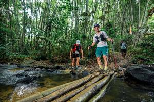 BIB: 
                            <button type="button" onclick="openModal(26473238)" class="btn btn-primary btn-sm float-right btn-popup" data-toggle="modal" data-target=".modal-high-quality">
                        <i class="fas fa-shopping-cart"></i> Add to Cart
                    </button>
                                            <button type="button" onclick="isThisMe(26473238, true)" class="btn btn-success btn-sm float-right btn-popup btn-isme hidden" data-toggle="tooltip" data-placement="bottom" title="นี่คือรูปของคุณใช่ไหม คลิกที่นี่เพื่อเอาเข้าอัลบั้ม">
                        <i class="fas fa-plus"></i> Add to album
                    </button>
                    <button type="button" onclick="isThisMe(26473238, false)" class="btn btn-warning btn-sm float-right btn-popup btn-isnotme hidden">
                        <i class="fas fa-ban"></i> Remove from album
                    </button>