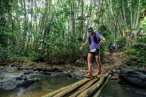 BIB: 
                            <button type="button" onclick="openModal(26466383)" class="btn btn-primary btn-sm float-right btn-popup" data-toggle="modal" data-target=".modal-high-quality">
                        <i class="fas fa-shopping-cart"></i> Add to Cart
                    </button>
                                            <button type="button" onclick="isThisMe(26466383, true)" class="btn btn-success btn-sm float-right btn-popup btn-isme hidden" data-toggle="tooltip" data-placement="bottom" title="นี่คือรูปของคุณใช่ไหม คลิกที่นี่เพื่อเอาเข้าอัลบั้ม">
                        <i class="fas fa-plus"></i> Add to album
                    </button>
                    <button type="button" onclick="isThisMe(26466383, false)" class="btn btn-warning btn-sm float-right btn-popup btn-isnotme hidden">
                        <i class="fas fa-ban"></i> Remove from album
                    </button>