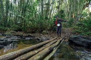 BIB: 
                            <button type="button" onclick="openModal(26434469)" class="btn btn-primary btn-sm float-right btn-popup" data-toggle="modal" data-target=".modal-high-quality">
                        <i class="fas fa-shopping-cart"></i> Add to Cart
                    </button>
                                            <button type="button" onclick="isThisMe(26434469, true)" class="btn btn-success btn-sm float-right btn-popup btn-isme hidden" data-toggle="tooltip" data-placement="bottom" title="นี่คือรูปของคุณใช่ไหม คลิกที่นี่เพื่อเอาเข้าอัลบั้ม">
                        <i class="fas fa-plus"></i> Add to album
                    </button>
                    <button type="button" onclick="isThisMe(26434469, false)" class="btn btn-warning btn-sm float-right btn-popup btn-isnotme hidden">
                        <i class="fas fa-ban"></i> Remove from album
                    </button>