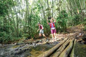 BIB: 
                            <button type="button" onclick="openModal(26439635)" class="btn btn-primary btn-sm float-right btn-popup" data-toggle="modal" data-target=".modal-high-quality">
                        <i class="fas fa-shopping-cart"></i> Add to Cart
                    </button>
                                            <button type="button" onclick="isThisMe(26439635, true)" class="btn btn-success btn-sm float-right btn-popup btn-isme hidden" data-toggle="tooltip" data-placement="bottom" title="นี่คือรูปของคุณใช่ไหม คลิกที่นี่เพื่อเอาเข้าอัลบั้ม">
                        <i class="fas fa-plus"></i> Add to album
                    </button>
                    <button type="button" onclick="isThisMe(26439635, false)" class="btn btn-warning btn-sm float-right btn-popup btn-isnotme hidden">
                        <i class="fas fa-ban"></i> Remove from album
                    </button>