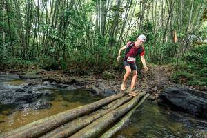 BIB: 
                            <button type="button" onclick="openModal(26442208)" class="btn btn-primary btn-sm float-right btn-popup" data-toggle="modal" data-target=".modal-high-quality">
                        <i class="fas fa-shopping-cart"></i> Add to Cart
                    </button>
                                            <button type="button" onclick="isThisMe(26442208, true)" class="btn btn-success btn-sm float-right btn-popup btn-isme hidden" data-toggle="tooltip" data-placement="bottom" title="นี่คือรูปของคุณใช่ไหม คลิกที่นี่เพื่อเอาเข้าอัลบั้ม">
                        <i class="fas fa-plus"></i> Add to album
                    </button>
                    <button type="button" onclick="isThisMe(26442208, false)" class="btn btn-warning btn-sm float-right btn-popup btn-isnotme hidden">
                        <i class="fas fa-ban"></i> Remove from album
                    </button>