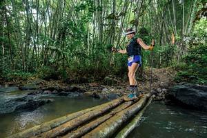 BIB: 
                            <button type="button" onclick="openModal(26480298)" class="btn btn-primary btn-sm float-right btn-popup" data-toggle="modal" data-target=".modal-high-quality">
                        <i class="fas fa-shopping-cart"></i> Add to Cart
                    </button>
                                            <button type="button" onclick="isThisMe(26480298, true)" class="btn btn-success btn-sm float-right btn-popup btn-isme hidden" data-toggle="tooltip" data-placement="bottom" title="นี่คือรูปของคุณใช่ไหม คลิกที่นี่เพื่อเอาเข้าอัลบั้ม">
                        <i class="fas fa-plus"></i> Add to album
                    </button>
                    <button type="button" onclick="isThisMe(26480298, false)" class="btn btn-warning btn-sm float-right btn-popup btn-isnotme hidden">
                        <i class="fas fa-ban"></i> Remove from album
                    </button>