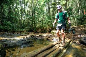 BIB: 
                            <button type="button" onclick="openModal(26451524)" class="btn btn-primary btn-sm float-right btn-popup" data-toggle="modal" data-target=".modal-high-quality">
                        <i class="fas fa-shopping-cart"></i> Add to Cart
                    </button>
                                            <button type="button" onclick="isThisMe(26451524, true)" class="btn btn-success btn-sm float-right btn-popup btn-isme hidden" data-toggle="tooltip" data-placement="bottom" title="นี่คือรูปของคุณใช่ไหม คลิกที่นี่เพื่อเอาเข้าอัลบั้ม">
                        <i class="fas fa-plus"></i> Add to album
                    </button>
                    <button type="button" onclick="isThisMe(26451524, false)" class="btn btn-warning btn-sm float-right btn-popup btn-isnotme hidden">
                        <i class="fas fa-ban"></i> Remove from album
                    </button>