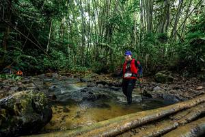 BIB: 
                            <button type="button" onclick="openModal(26504702)" class="btn btn-primary btn-sm float-right btn-popup" data-toggle="modal" data-target=".modal-high-quality">
                        <i class="fas fa-shopping-cart"></i> Add to Cart
                    </button>
                                            <button type="button" onclick="isThisMe(26504702, true)" class="btn btn-success btn-sm float-right btn-popup btn-isme hidden" data-toggle="tooltip" data-placement="bottom" title="นี่คือรูปของคุณใช่ไหม คลิกที่นี่เพื่อเอาเข้าอัลบั้ม">
                        <i class="fas fa-plus"></i> Add to album
                    </button>
                    <button type="button" onclick="isThisMe(26504702, false)" class="btn btn-warning btn-sm float-right btn-popup btn-isnotme hidden">
                        <i class="fas fa-ban"></i> Remove from album
                    </button>