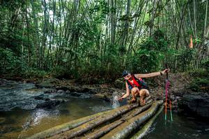 BIB: 
                            <button type="button" onclick="openModal(26478813)" class="btn btn-primary btn-sm float-right btn-popup" data-toggle="modal" data-target=".modal-high-quality">
                        <i class="fas fa-shopping-cart"></i> Add to Cart
                    </button>
                                            <button type="button" onclick="isThisMe(26478813, true)" class="btn btn-success btn-sm float-right btn-popup btn-isme hidden" data-toggle="tooltip" data-placement="bottom" title="นี่คือรูปของคุณใช่ไหม คลิกที่นี่เพื่อเอาเข้าอัลบั้ม">
                        <i class="fas fa-plus"></i> Add to album
                    </button>
                    <button type="button" onclick="isThisMe(26478813, false)" class="btn btn-warning btn-sm float-right btn-popup btn-isnotme hidden">
                        <i class="fas fa-ban"></i> Remove from album
                    </button>