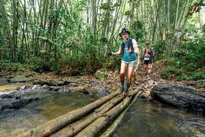 BIB: 
                            <button type="button" onclick="openModal(26445359)" class="btn btn-primary btn-sm float-right btn-popup" data-toggle="modal" data-target=".modal-high-quality">
                        <i class="fas fa-shopping-cart"></i> Add to Cart
                    </button>
                                            <button type="button" onclick="isThisMe(26445359, true)" class="btn btn-success btn-sm float-right btn-popup btn-isme hidden" data-toggle="tooltip" data-placement="bottom" title="นี่คือรูปของคุณใช่ไหม คลิกที่นี่เพื่อเอาเข้าอัลบั้ม">
                        <i class="fas fa-plus"></i> Add to album
                    </button>
                    <button type="button" onclick="isThisMe(26445359, false)" class="btn btn-warning btn-sm float-right btn-popup btn-isnotme hidden">
                        <i class="fas fa-ban"></i> Remove from album
                    </button>