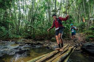 BIB: 
                            <button type="button" onclick="openModal(26464899)" class="btn btn-primary btn-sm float-right btn-popup" data-toggle="modal" data-target=".modal-high-quality">
                        <i class="fas fa-shopping-cart"></i> Add to Cart
                    </button>
                                            <button type="button" onclick="isThisMe(26464899, true)" class="btn btn-success btn-sm float-right btn-popup btn-isme hidden" data-toggle="tooltip" data-placement="bottom" title="นี่คือรูปของคุณใช่ไหม คลิกที่นี่เพื่อเอาเข้าอัลบั้ม">
                        <i class="fas fa-plus"></i> Add to album
                    </button>
                    <button type="button" onclick="isThisMe(26464899, false)" class="btn btn-warning btn-sm float-right btn-popup btn-isnotme hidden">
                        <i class="fas fa-ban"></i> Remove from album
                    </button>