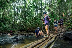 BIB: 
                            <button type="button" onclick="openModal(26490300)" class="btn btn-primary btn-sm float-right btn-popup" data-toggle="modal" data-target=".modal-high-quality">
                        <i class="fas fa-shopping-cart"></i> Add to Cart
                    </button>
                                            <button type="button" onclick="isThisMe(26490300, true)" class="btn btn-success btn-sm float-right btn-popup btn-isme hidden" data-toggle="tooltip" data-placement="bottom" title="นี่คือรูปของคุณใช่ไหม คลิกที่นี่เพื่อเอาเข้าอัลบั้ม">
                        <i class="fas fa-plus"></i> Add to album
                    </button>
                    <button type="button" onclick="isThisMe(26490300, false)" class="btn btn-warning btn-sm float-right btn-popup btn-isnotme hidden">
                        <i class="fas fa-ban"></i> Remove from album
                    </button>