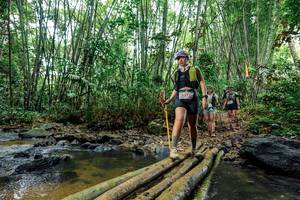 BIB: 
                            <button type="button" onclick="openModal(26464586)" class="btn btn-primary btn-sm float-right btn-popup" data-toggle="modal" data-target=".modal-high-quality">
                        <i class="fas fa-shopping-cart"></i> Add to Cart
                    </button>
                                            <button type="button" onclick="isThisMe(26464586, true)" class="btn btn-success btn-sm float-right btn-popup btn-isme hidden" data-toggle="tooltip" data-placement="bottom" title="นี่คือรูปของคุณใช่ไหม คลิกที่นี่เพื่อเอาเข้าอัลบั้ม">
                        <i class="fas fa-plus"></i> Add to album
                    </button>
                    <button type="button" onclick="isThisMe(26464586, false)" class="btn btn-warning btn-sm float-right btn-popup btn-isnotme hidden">
                        <i class="fas fa-ban"></i> Remove from album
                    </button>