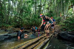 BIB: 
                            <button type="button" onclick="openModal(26486157)" class="btn btn-primary btn-sm float-right btn-popup" data-toggle="modal" data-target=".modal-high-quality">
                        <i class="fas fa-shopping-cart"></i> Add to Cart
                    </button>
                                            <button type="button" onclick="isThisMe(26486157, true)" class="btn btn-success btn-sm float-right btn-popup btn-isme hidden" data-toggle="tooltip" data-placement="bottom" title="นี่คือรูปของคุณใช่ไหม คลิกที่นี่เพื่อเอาเข้าอัลบั้ม">
                        <i class="fas fa-plus"></i> Add to album
                    </button>
                    <button type="button" onclick="isThisMe(26486157, false)" class="btn btn-warning btn-sm float-right btn-popup btn-isnotme hidden">
                        <i class="fas fa-ban"></i> Remove from album
                    </button>