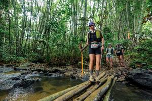 BIB: 
                            <button type="button" onclick="openModal(26464602)" class="btn btn-primary btn-sm float-right btn-popup" data-toggle="modal" data-target=".modal-high-quality">
                        <i class="fas fa-shopping-cart"></i> Add to Cart
                    </button>
                                            <button type="button" onclick="isThisMe(26464602, true)" class="btn btn-success btn-sm float-right btn-popup btn-isme hidden" data-toggle="tooltip" data-placement="bottom" title="นี่คือรูปของคุณใช่ไหม คลิกที่นี่เพื่อเอาเข้าอัลบั้ม">
                        <i class="fas fa-plus"></i> Add to album
                    </button>
                    <button type="button" onclick="isThisMe(26464602, false)" class="btn btn-warning btn-sm float-right btn-popup btn-isnotme hidden">
                        <i class="fas fa-ban"></i> Remove from album
                    </button>