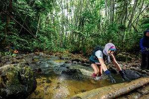 BIB: 
                            <button type="button" onclick="openModal(26505437)" class="btn btn-primary btn-sm float-right btn-popup" data-toggle="modal" data-target=".modal-high-quality">
                        <i class="fas fa-shopping-cart"></i> Add to Cart
                    </button>
                                            <button type="button" onclick="isThisMe(26505437, true)" class="btn btn-success btn-sm float-right btn-popup btn-isme hidden" data-toggle="tooltip" data-placement="bottom" title="นี่คือรูปของคุณใช่ไหม คลิกที่นี่เพื่อเอาเข้าอัลบั้ม">
                        <i class="fas fa-plus"></i> Add to album
                    </button>
                    <button type="button" onclick="isThisMe(26505437, false)" class="btn btn-warning btn-sm float-right btn-popup btn-isnotme hidden">
                        <i class="fas fa-ban"></i> Remove from album
                    </button>