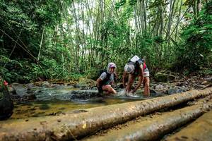 BIB: 
                            <button type="button" onclick="openModal(26505513)" class="btn btn-primary btn-sm float-right btn-popup" data-toggle="modal" data-target=".modal-high-quality">
                        <i class="fas fa-shopping-cart"></i> Add to Cart
                    </button>
                                            <button type="button" onclick="isThisMe(26505513, true)" class="btn btn-success btn-sm float-right btn-popup btn-isme hidden" data-toggle="tooltip" data-placement="bottom" title="นี่คือรูปของคุณใช่ไหม คลิกที่นี่เพื่อเอาเข้าอัลบั้ม">
                        <i class="fas fa-plus"></i> Add to album
                    </button>
                    <button type="button" onclick="isThisMe(26505513, false)" class="btn btn-warning btn-sm float-right btn-popup btn-isnotme hidden">
                        <i class="fas fa-ban"></i> Remove from album
                    </button>