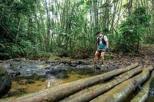 BIB: 
                            <button type="button" onclick="openModal(26437908)" class="btn btn-primary btn-sm float-right btn-popup" data-toggle="modal" data-target=".modal-high-quality">
                        <i class="fas fa-shopping-cart"></i> Add to Cart
                    </button>
                                            <button type="button" onclick="isThisMe(26437908, true)" class="btn btn-success btn-sm float-right btn-popup btn-isme hidden" data-toggle="tooltip" data-placement="bottom" title="นี่คือรูปของคุณใช่ไหม คลิกที่นี่เพื่อเอาเข้าอัลบั้ม">
                        <i class="fas fa-plus"></i> Add to album
                    </button>
                    <button type="button" onclick="isThisMe(26437908, false)" class="btn btn-warning btn-sm float-right btn-popup btn-isnotme hidden">
                        <i class="fas fa-ban"></i> Remove from album
                    </button>