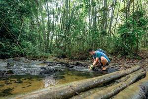 BIB: 
                            <button type="button" onclick="openModal(26435848)" class="btn btn-primary btn-sm float-right btn-popup" data-toggle="modal" data-target=".modal-high-quality">
                        <i class="fas fa-shopping-cart"></i> Add to Cart
                    </button>
                                            <button type="button" onclick="isThisMe(26435848, true)" class="btn btn-success btn-sm float-right btn-popup btn-isme hidden" data-toggle="tooltip" data-placement="bottom" title="นี่คือรูปของคุณใช่ไหม คลิกที่นี่เพื่อเอาเข้าอัลบั้ม">
                        <i class="fas fa-plus"></i> Add to album
                    </button>
                    <button type="button" onclick="isThisMe(26435848, false)" class="btn btn-warning btn-sm float-right btn-popup btn-isnotme hidden">
                        <i class="fas fa-ban"></i> Remove from album
                    </button>