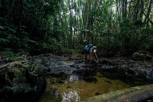 BIB: 
                            <button type="button" onclick="openModal(26434783)" class="btn btn-primary btn-sm float-right btn-popup" data-toggle="modal" data-target=".modal-high-quality">
                        <i class="fas fa-shopping-cart"></i> Add to Cart
                    </button>
                                            <button type="button" onclick="isThisMe(26434783, true)" class="btn btn-success btn-sm float-right btn-popup btn-isme hidden" data-toggle="tooltip" data-placement="bottom" title="นี่คือรูปของคุณใช่ไหม คลิกที่นี่เพื่อเอาเข้าอัลบั้ม">
                        <i class="fas fa-plus"></i> Add to album
                    </button>
                    <button type="button" onclick="isThisMe(26434783, false)" class="btn btn-warning btn-sm float-right btn-popup btn-isnotme hidden">
                        <i class="fas fa-ban"></i> Remove from album
                    </button>