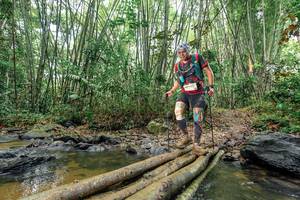 BIB: 
                            <button type="button" onclick="openModal(26464543)" class="btn btn-primary btn-sm float-right btn-popup" data-toggle="modal" data-target=".modal-high-quality">
                        <i class="fas fa-shopping-cart"></i> Add to Cart
                    </button>
                                            <button type="button" onclick="isThisMe(26464543, true)" class="btn btn-success btn-sm float-right btn-popup btn-isme hidden" data-toggle="tooltip" data-placement="bottom" title="นี่คือรูปของคุณใช่ไหม คลิกที่นี่เพื่อเอาเข้าอัลบั้ม">
                        <i class="fas fa-plus"></i> Add to album
                    </button>
                    <button type="button" onclick="isThisMe(26464543, false)" class="btn btn-warning btn-sm float-right btn-popup btn-isnotme hidden">
                        <i class="fas fa-ban"></i> Remove from album
                    </button>