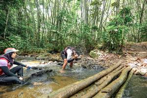 BIB: 
                            <button type="button" onclick="openModal(26447543)" class="btn btn-primary btn-sm float-right btn-popup" data-toggle="modal" data-target=".modal-high-quality">
                        <i class="fas fa-shopping-cart"></i> Add to Cart
                    </button>
                                            <button type="button" onclick="isThisMe(26447543, true)" class="btn btn-success btn-sm float-right btn-popup btn-isme hidden" data-toggle="tooltip" data-placement="bottom" title="นี่คือรูปของคุณใช่ไหม คลิกที่นี่เพื่อเอาเข้าอัลบั้ม">
                        <i class="fas fa-plus"></i> Add to album
                    </button>
                    <button type="button" onclick="isThisMe(26447543, false)" class="btn btn-warning btn-sm float-right btn-popup btn-isnotme hidden">
                        <i class="fas fa-ban"></i> Remove from album
                    </button>