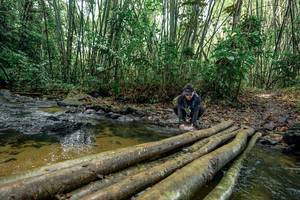 BIB: 
                            <button type="button" onclick="openModal(26437063)" class="btn btn-primary btn-sm float-right btn-popup" data-toggle="modal" data-target=".modal-high-quality">
                        <i class="fas fa-shopping-cart"></i> Add to Cart
                    </button>
                                            <button type="button" onclick="isThisMe(26437063, true)" class="btn btn-success btn-sm float-right btn-popup btn-isme hidden" data-toggle="tooltip" data-placement="bottom" title="นี่คือรูปของคุณใช่ไหม คลิกที่นี่เพื่อเอาเข้าอัลบั้ม">
                        <i class="fas fa-plus"></i> Add to album
                    </button>
                    <button type="button" onclick="isThisMe(26437063, false)" class="btn btn-warning btn-sm float-right btn-popup btn-isnotme hidden">
                        <i class="fas fa-ban"></i> Remove from album
                    </button>